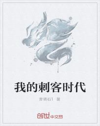 我的刺客时代