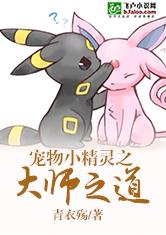 宠物小精灵之大师之道