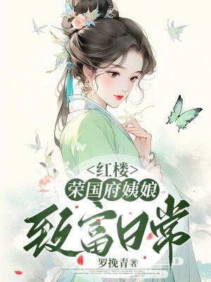 红楼:荣国府姨娘致富日常