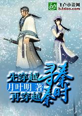 秦时明月之寻秦记