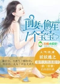 前妻，别闹了！