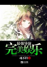 完美娱乐最强导演