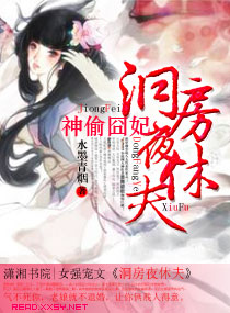 神偷囧妃，洞房夜休夫