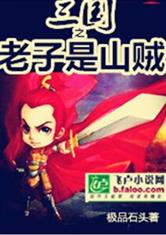 三国之老子是山贼